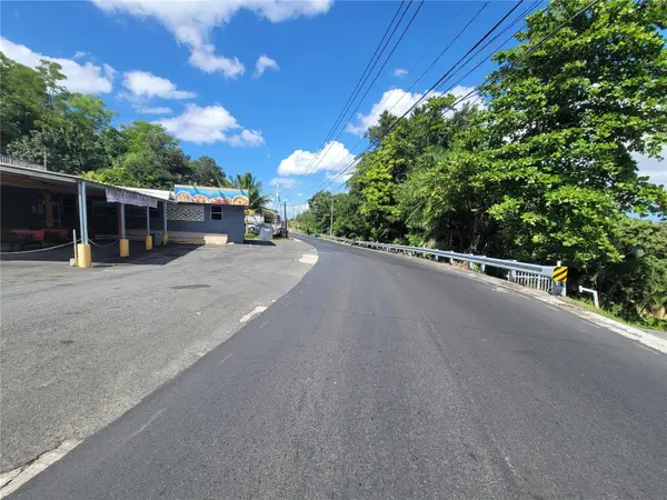 CARR 829, KM 2.3 BO. BUENA VISTA, Bayamon, PR 00956