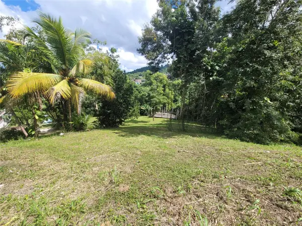 CARR 829, KM 2.3 BO. BUENA VISTA, Bayamon, PR 00956