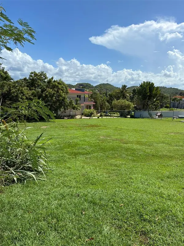 LOT-1 RD-648 KM 1.0 INT. TIERRAS NUEVAS, Manati, PR 00674