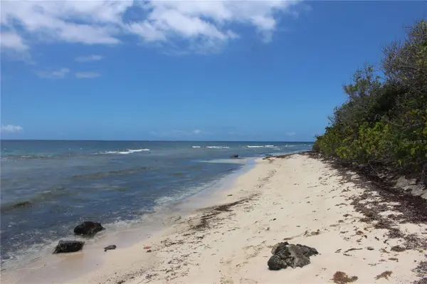 250 Zoni PLAYA LARGA, Culebra, PR 00775