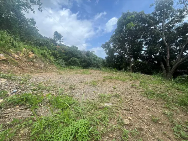 KM 19.9 CARR 128, Yauco, PR 00698
