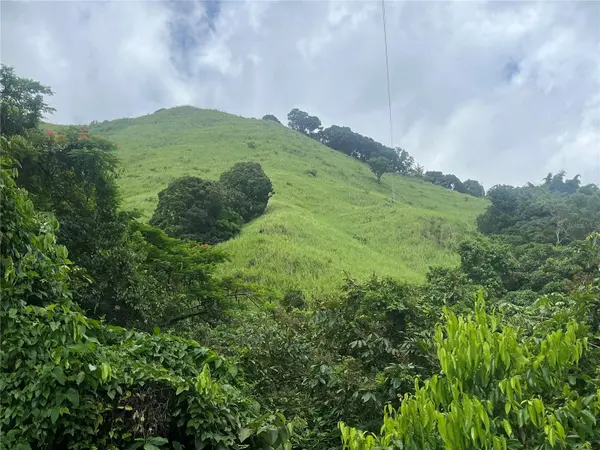 KM 19.9 CARR 128, Yauco, PR 00698