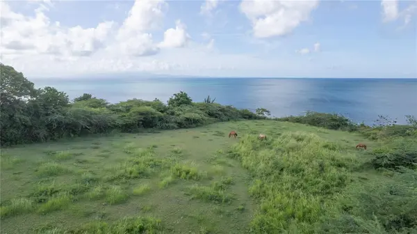 2 CALLE CAÑON, Vieques, PR 00765