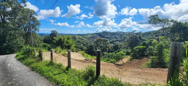 ALTURAS DE VALENCIA - VALENCIANO ARRIBA WARD #LOT 21, Juncos, PR 00777