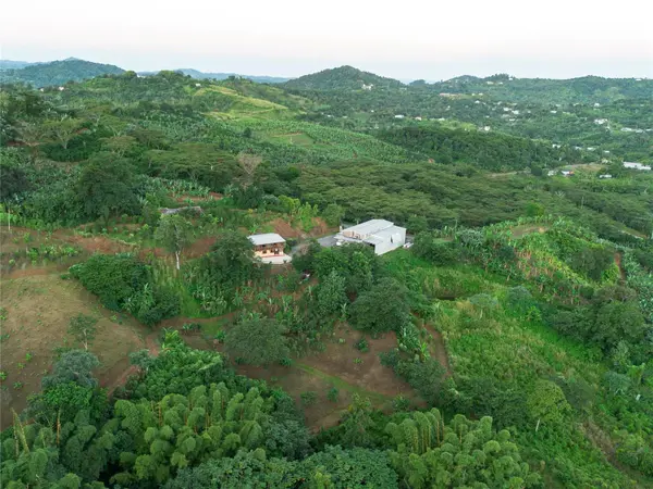 SR 526 BOSQUE TANAMA, Adjuntas, PR 00601