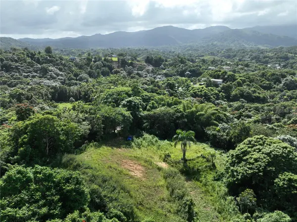 PR 902 CAMINO CARLOS DIAZ, San Lorenzo, PR 00754