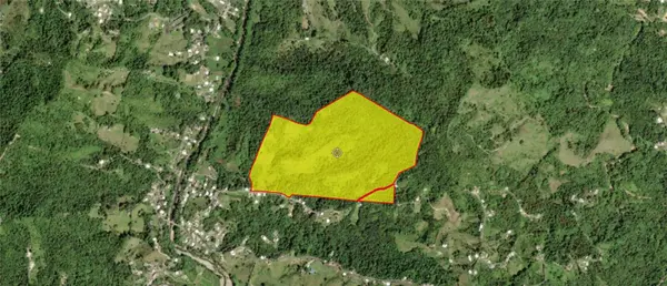 PR 902 CAMINO CARLOS DIAZ, San Lorenzo, PR 00754