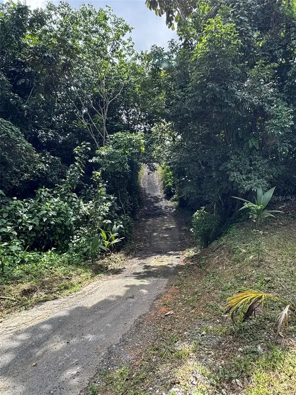 PR 902 CAMINO CARLOS DIAZ, San Lorenzo, PR 00754