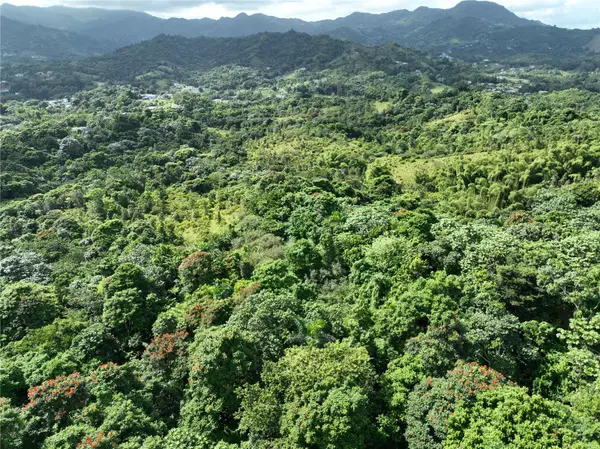 PR 902 CAMINO CARLOS DIAZ, San Lorenzo, PR 00754