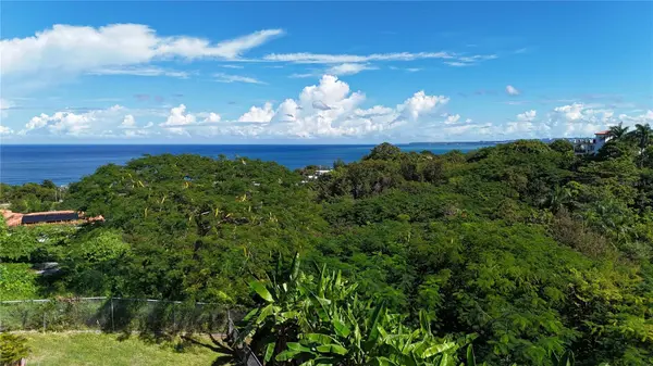 Km 4.4 CARR 413 PUNTAS, Rincon, PR 00677