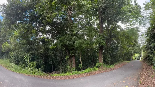 CARR 160 KM. HM 10.6 SECT. LA GALLERA BO ALMIRANTE, Vega Baja, PR 00693