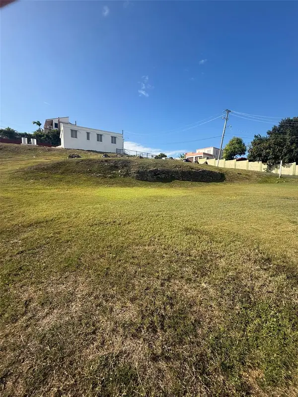 COLINAS DE PALMARITO, Arecibo, PR 00612