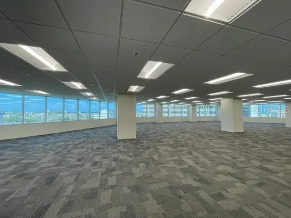 250 MUÑOZ RIVERA, San Juan, PR 00918
