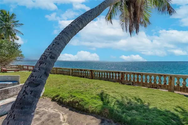 Bo BARRERO, Rincon, PR 00677