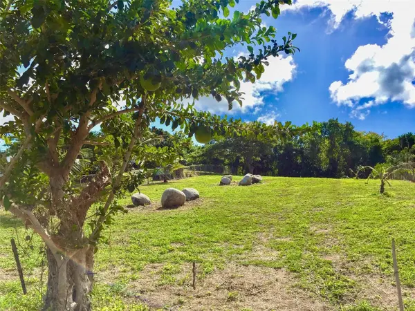 63 ROUTE 201, Vieques, PR 00765