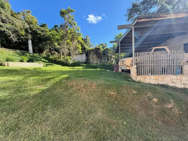CAFARNAUM SOLAR 118, Aibonito, PR 00705