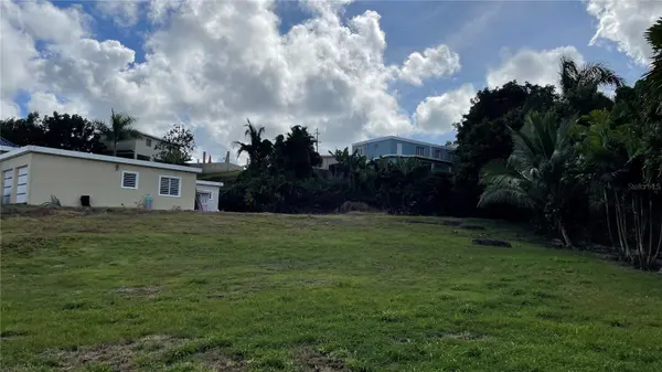 CANABONCITO STRD 172 KM7.5, Caguas, PR 00725