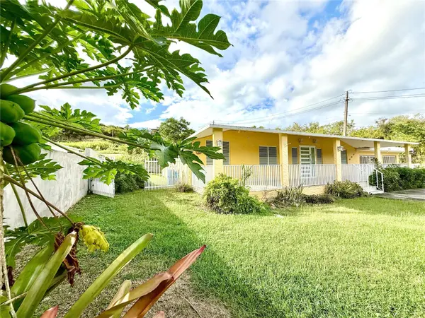 19 C1 #19, Rio Grande, PR 00745