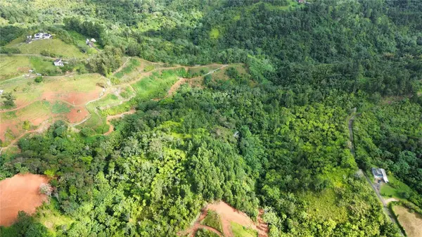 Bo. Maná CARR. 802 KM 2.5, Corozal, PR 00783