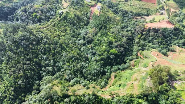 Bo. Maná CARR. 802 KM 2.5, Corozal, PR 00783