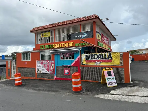 BO CEIBA NORTE COL. AGROCENTRO RIVERA, Juncos, PR 00777