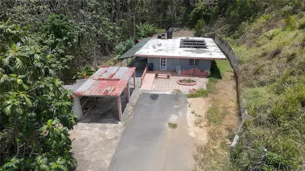 Carr 925 KM 4.9 BO. JUNQUITO, Humacao, PR 00791