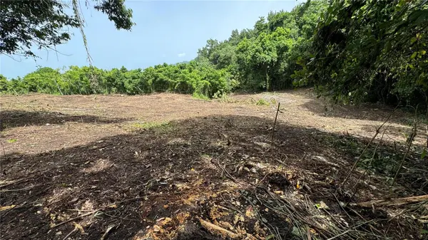 BO. CIDRAL PR-450, San Sebastian, PR 00685