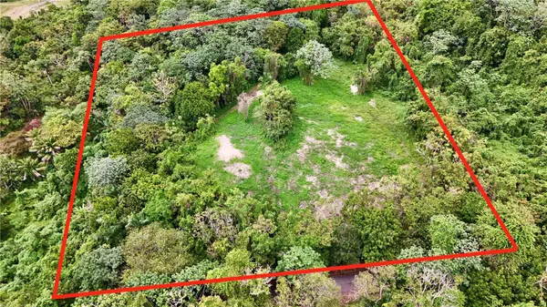 BO. CIDRAL PR-450, San Sebastian, PR 00685