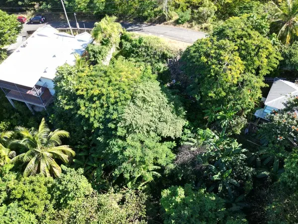 CARR 413 KM 4.4, Rincon, PR 00677