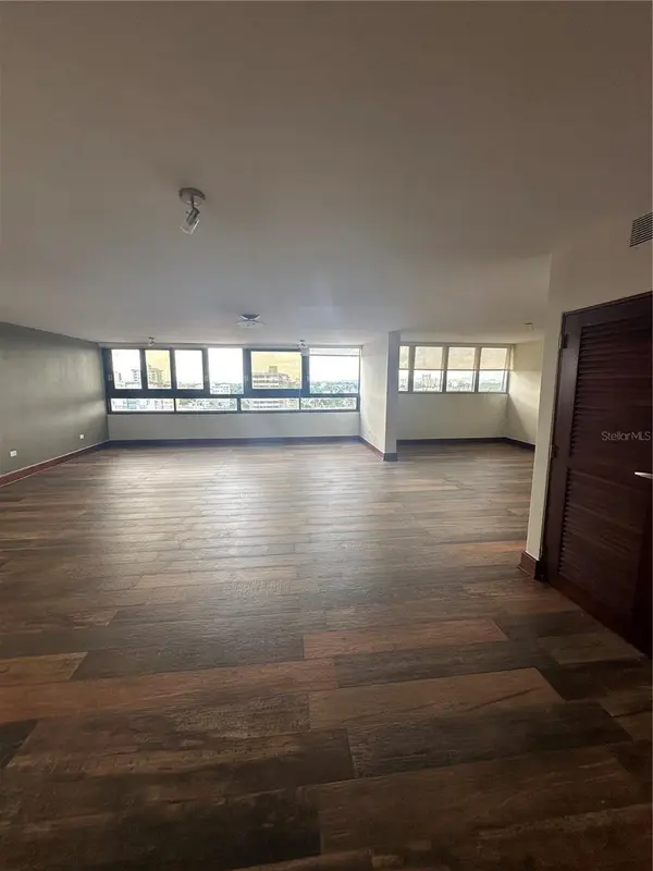 Caoba Street AVENIDA SAN PATRICIO #PH1-PH2, Guaynabo, PR 00966