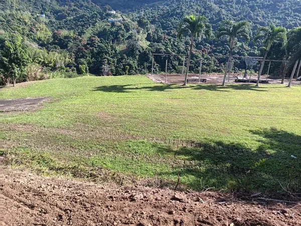 Carr 184 BO. MULAS, Patillas, PR 00723