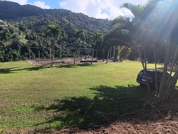 Carr 184 BO. MULAS, Patillas, PR 00723