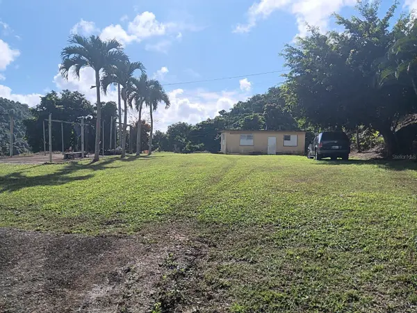 Carr 184 BO. MULAS, Patillas, PR 00723