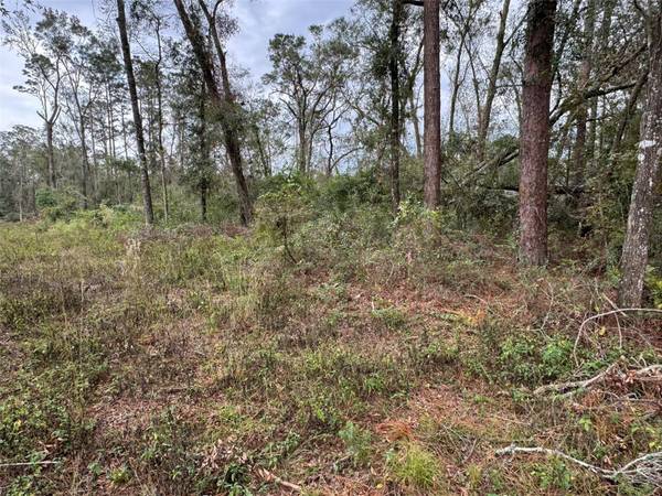 143RD DR, O'brien, FL 32071