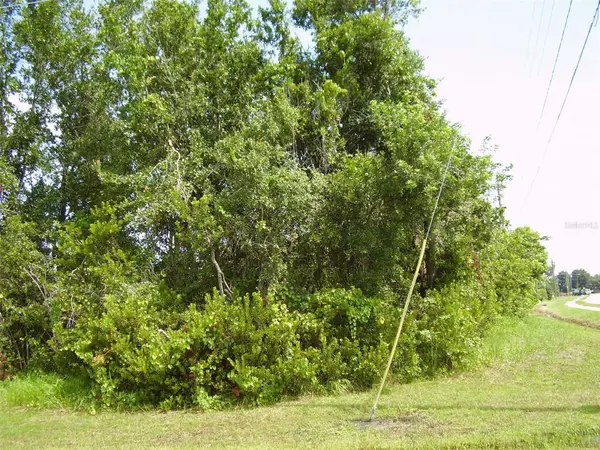 801 CARROUSEL LN, Kissimmee, FL 34759