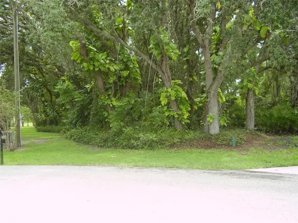 410 ANISE PL, Kissimmee, FL 34759