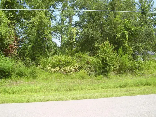 431 DOVE DR, Kissimmee, FL 34759