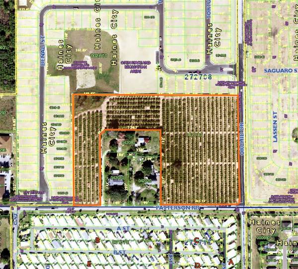 390 PATTERSON RD, Haines City, FL 33844