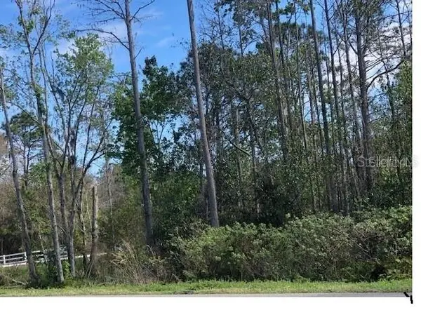 MT TABOR RD, Lakeland, FL 33810