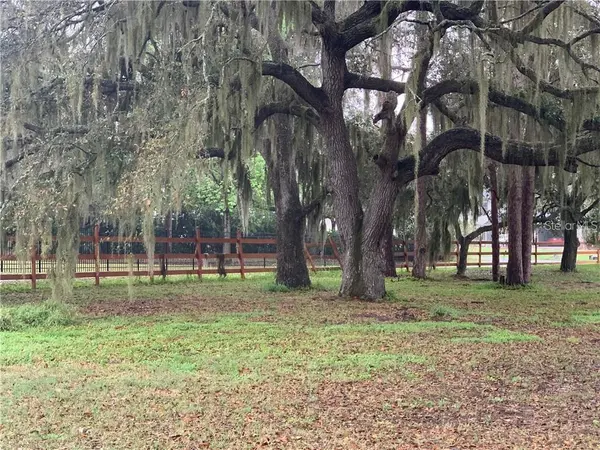 MARJORIE RD, St Cloud, FL 34772