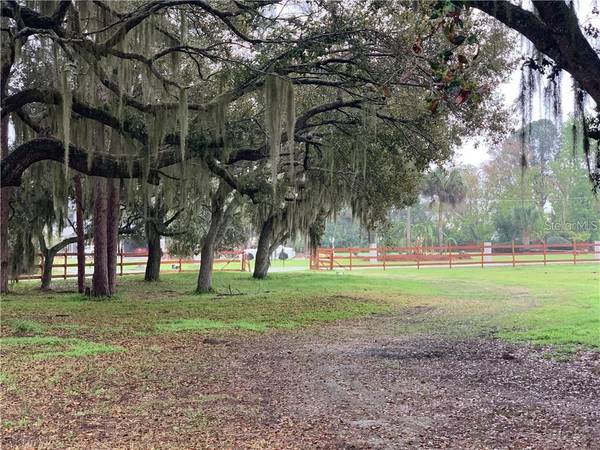 MARJORIE RD, St Cloud, FL 34772