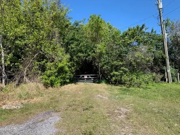 1290 CINDER LN, Kissimmee, FL 34744
