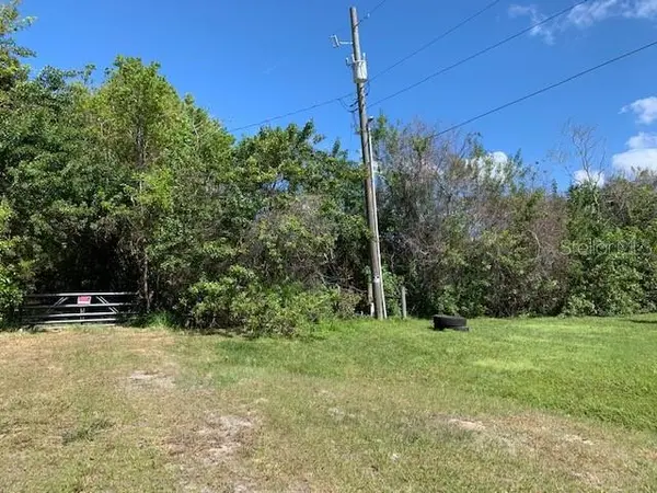 1290 CINDER LN, Kissimmee, FL 34744