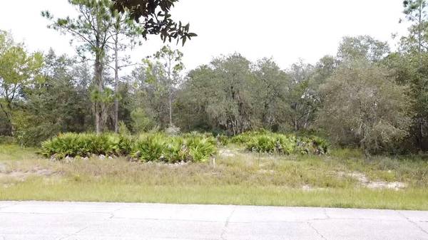 1405 SARASOTA CT, Poinciana, FL 34759