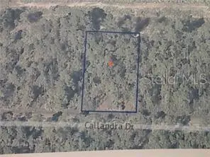0 CALLIANDRA DR, Indian Lake Estates, FL 33855