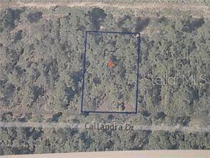 0 CALLIANDRA DR, Indian Lake Estates, FL 33855