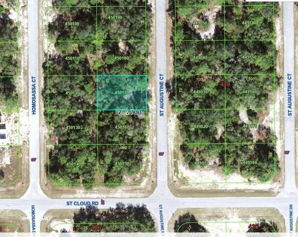 1345 ST AUGUSTINE CT, Kissimmee, FL 34759