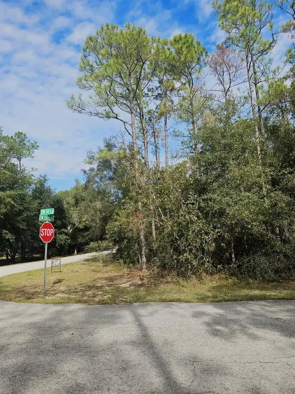 SOUTHWEST 206TH COURT RD, Dunnellon, FL 34431