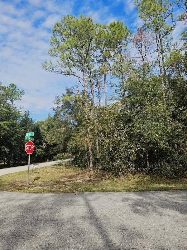 SOUTHWEST 206TH COURT RD, Dunnellon, FL 34431
