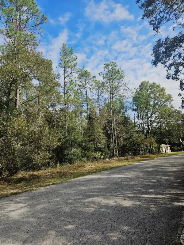 SOUTHWEST 206TH COURT RD, Dunnellon, FL 34431